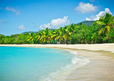 best excursions in tortola|THE 30 BEST Tortola Tours & Excursions (from £28)